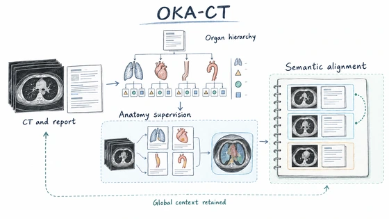 Hand-drawn OKA-CT research overview