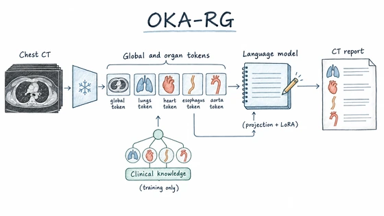 Hand-drawn CT report generation research overview