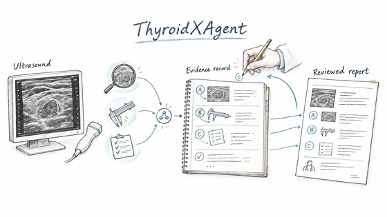 Hand-drawn ThyroidXAgent research overview